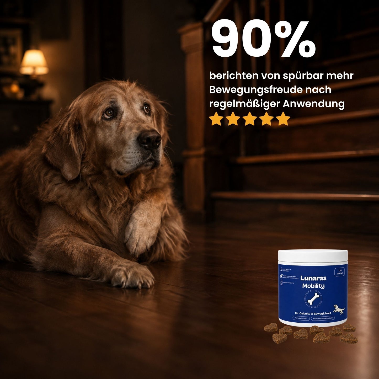 Lunaras Mobility™
