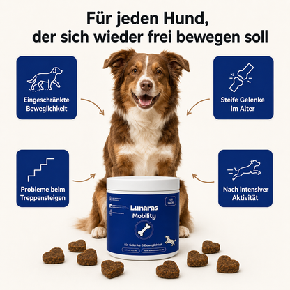 Lunaras Mobility™